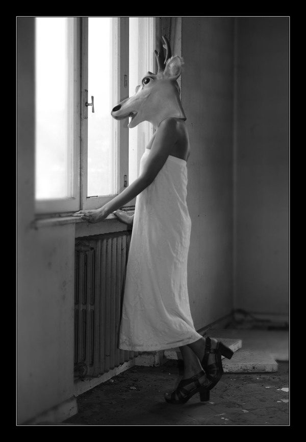 b1c82a7d42b41544bea75b8e616d5ee2