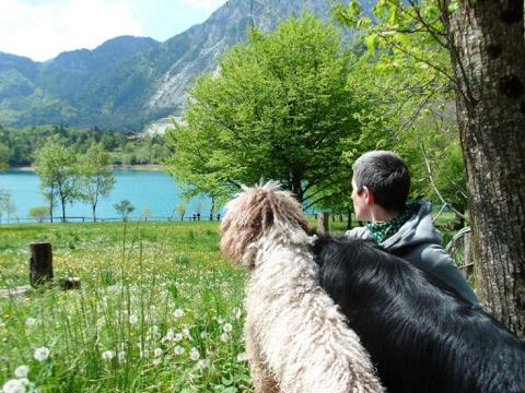 selena-e-uno-dei-sui-3-cani